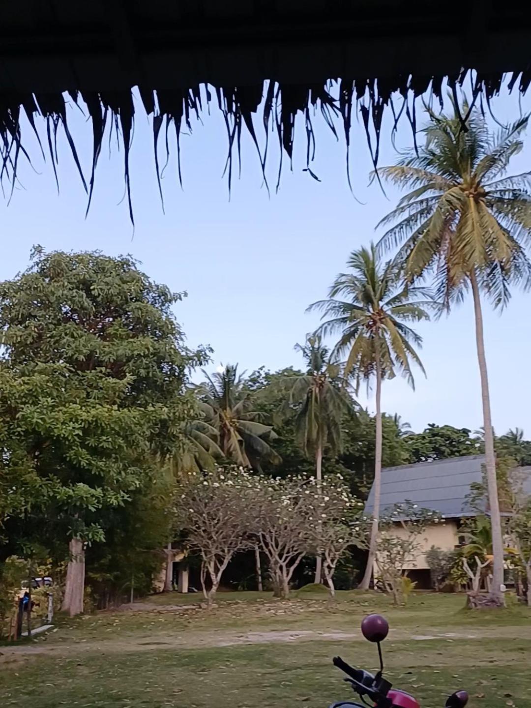 Tropicana Khophagan Resort Hotel Thongsala Rum bild